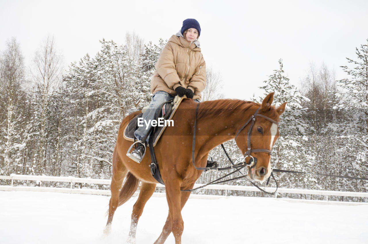A girl rides a horse in the winter. winter holidays