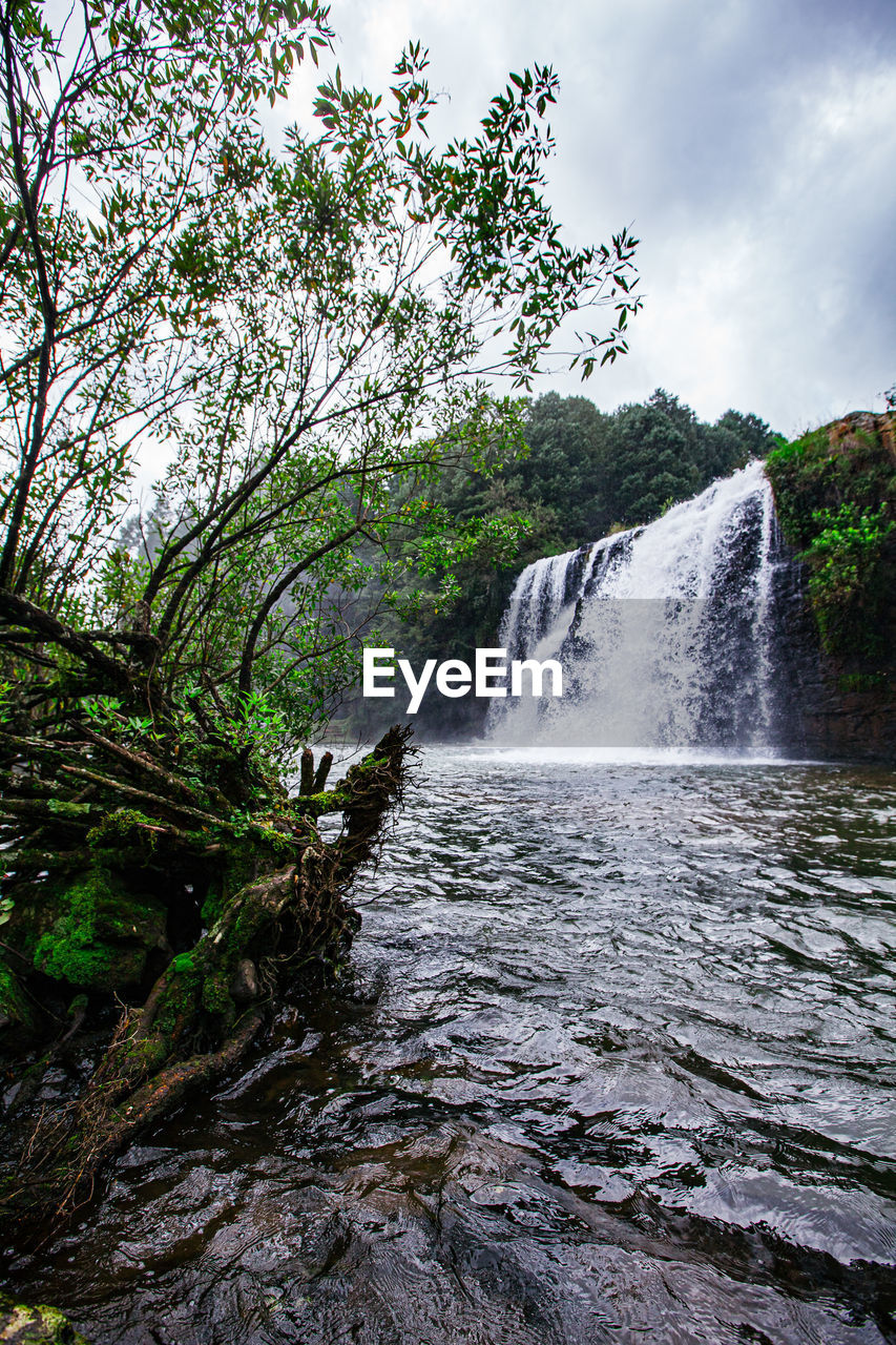 WATERFALL IN FOREST