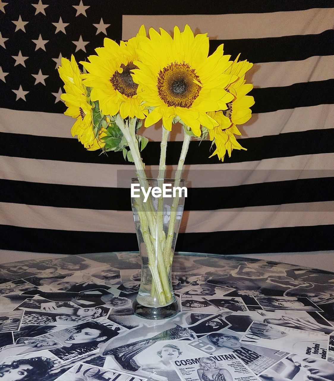 CLOSE-UP OF SUNFLOWER ON TABLE AGAINST WALL