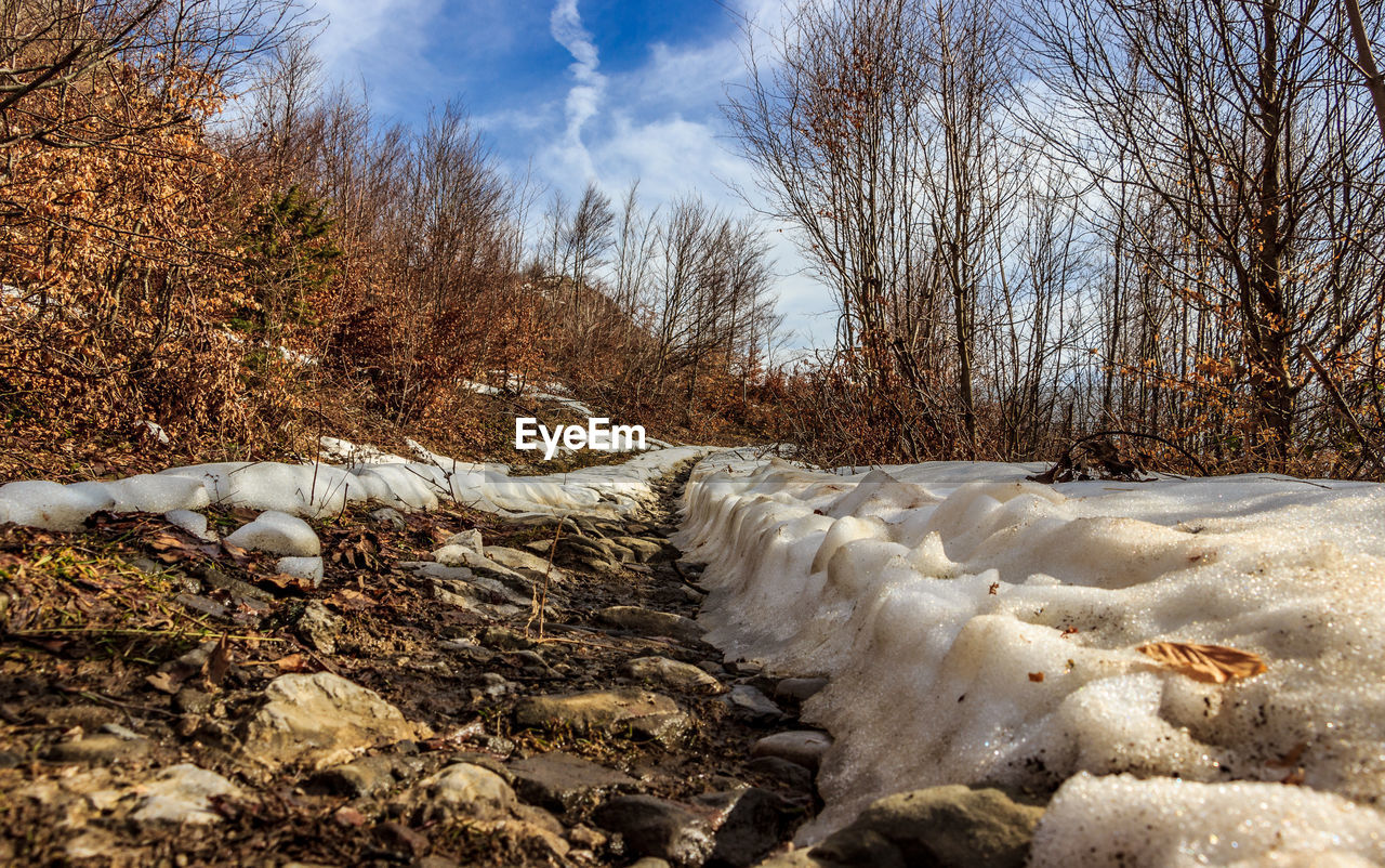 SNOW COVERED LANDSCAPE