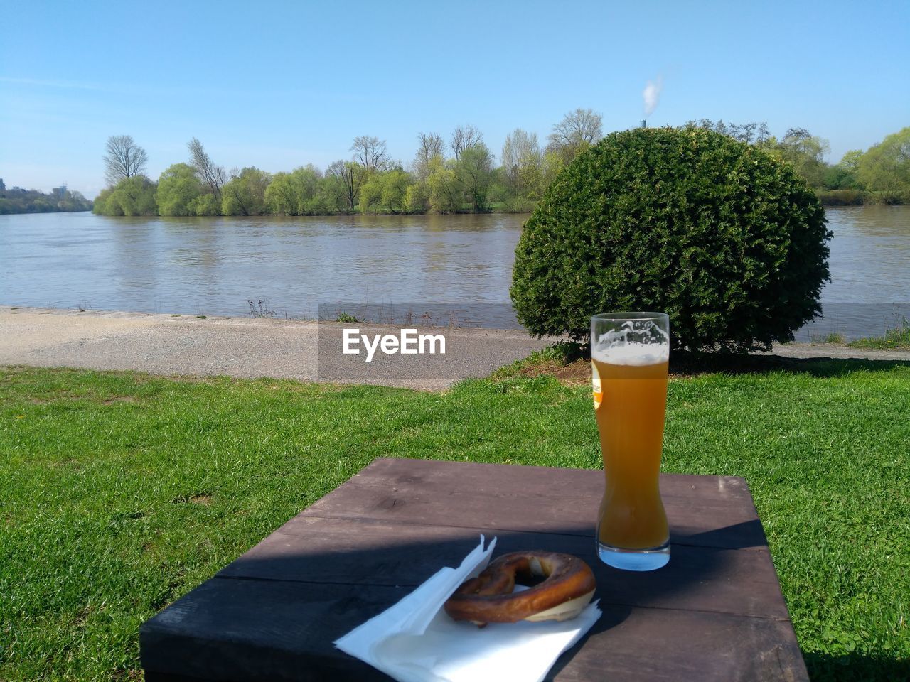 PLANTS ON TABLE BY LAKE