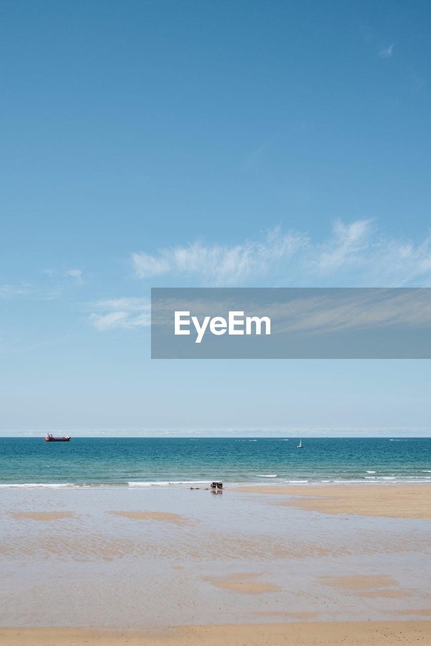 SCENIC VIEW OF SANDY BEACH AGAINST SKY