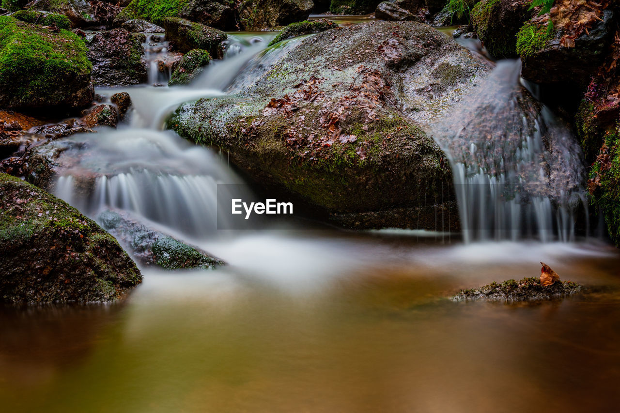 View of waterfall in forest