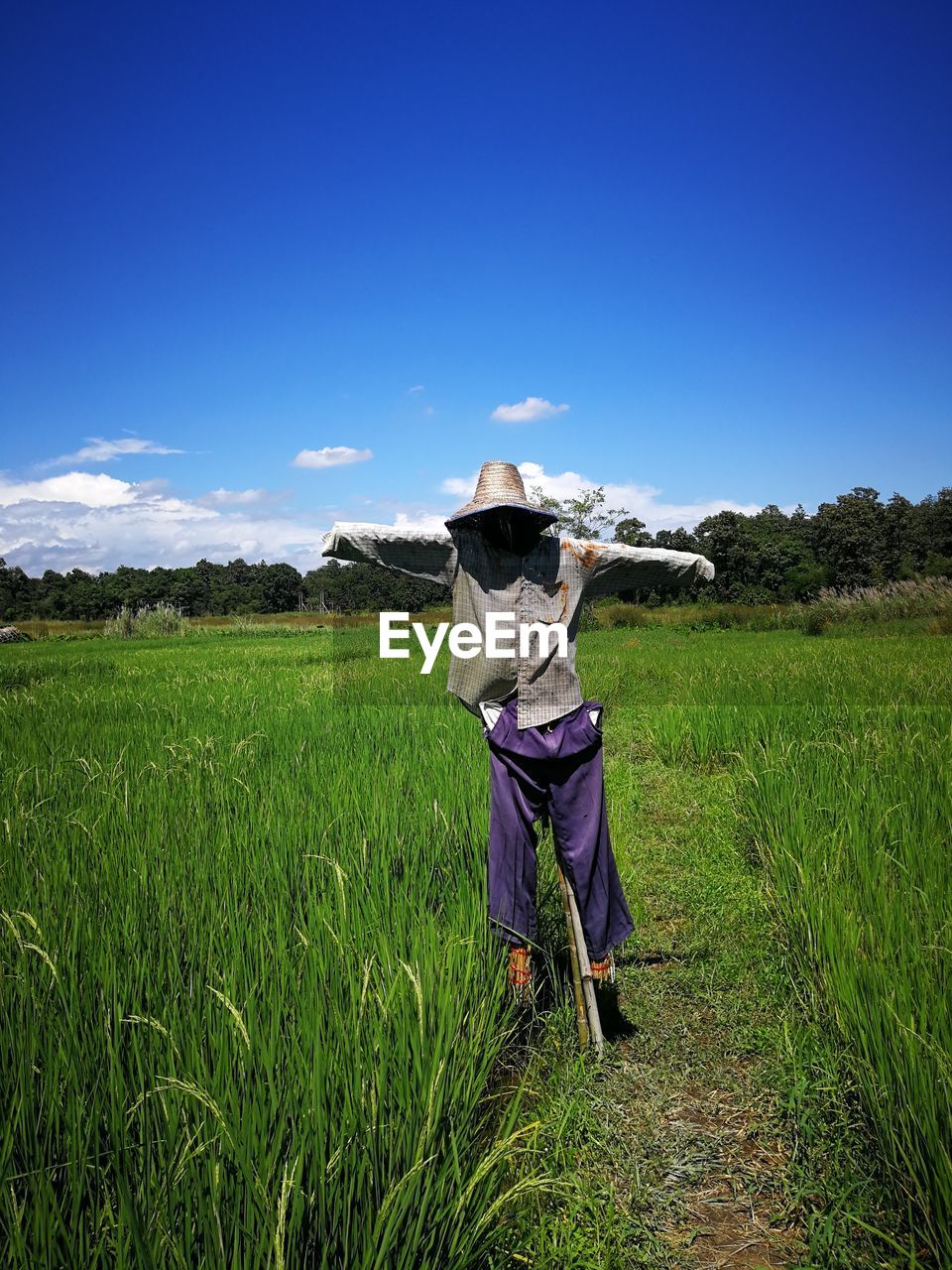 Scarecrow on grassy field against blue sky