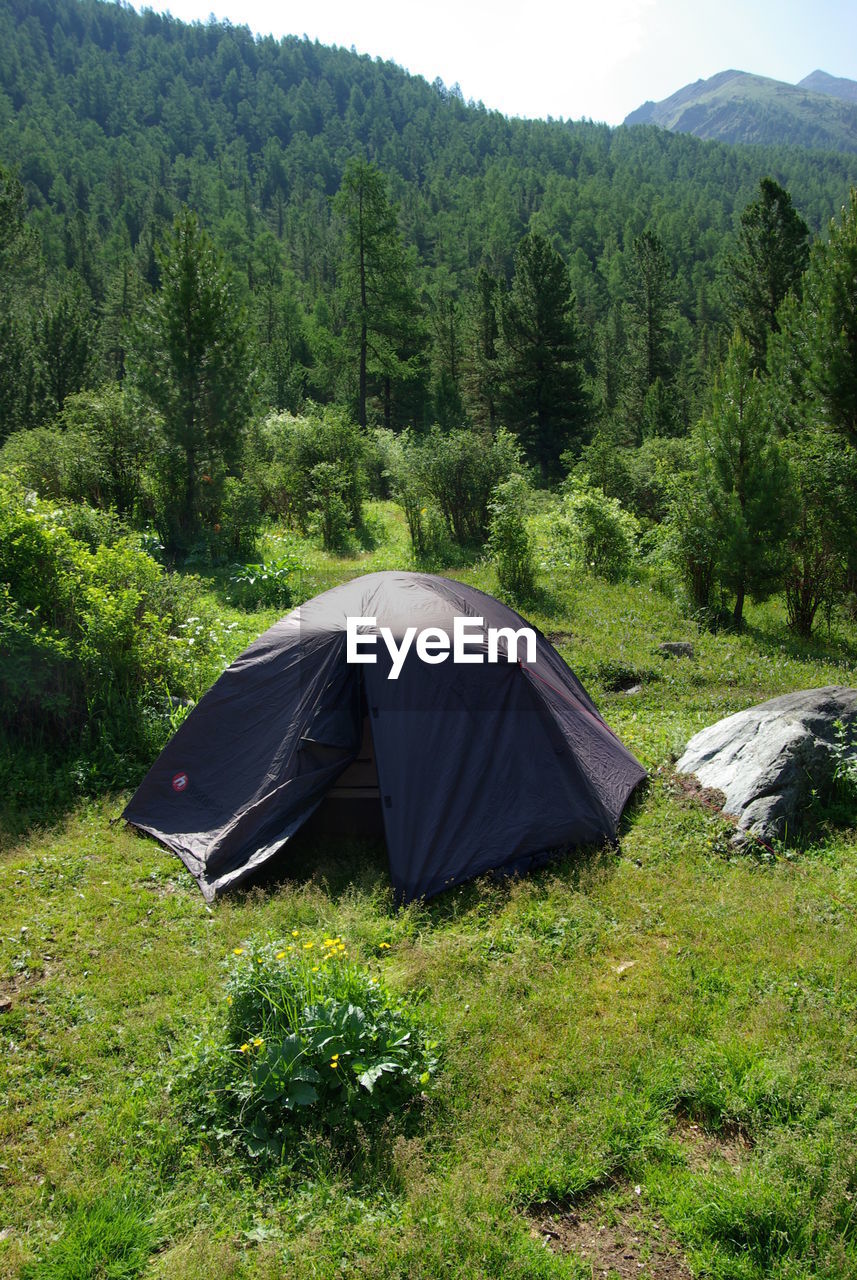 SCENIC VIEW OF TENT ON MOUNTAIN