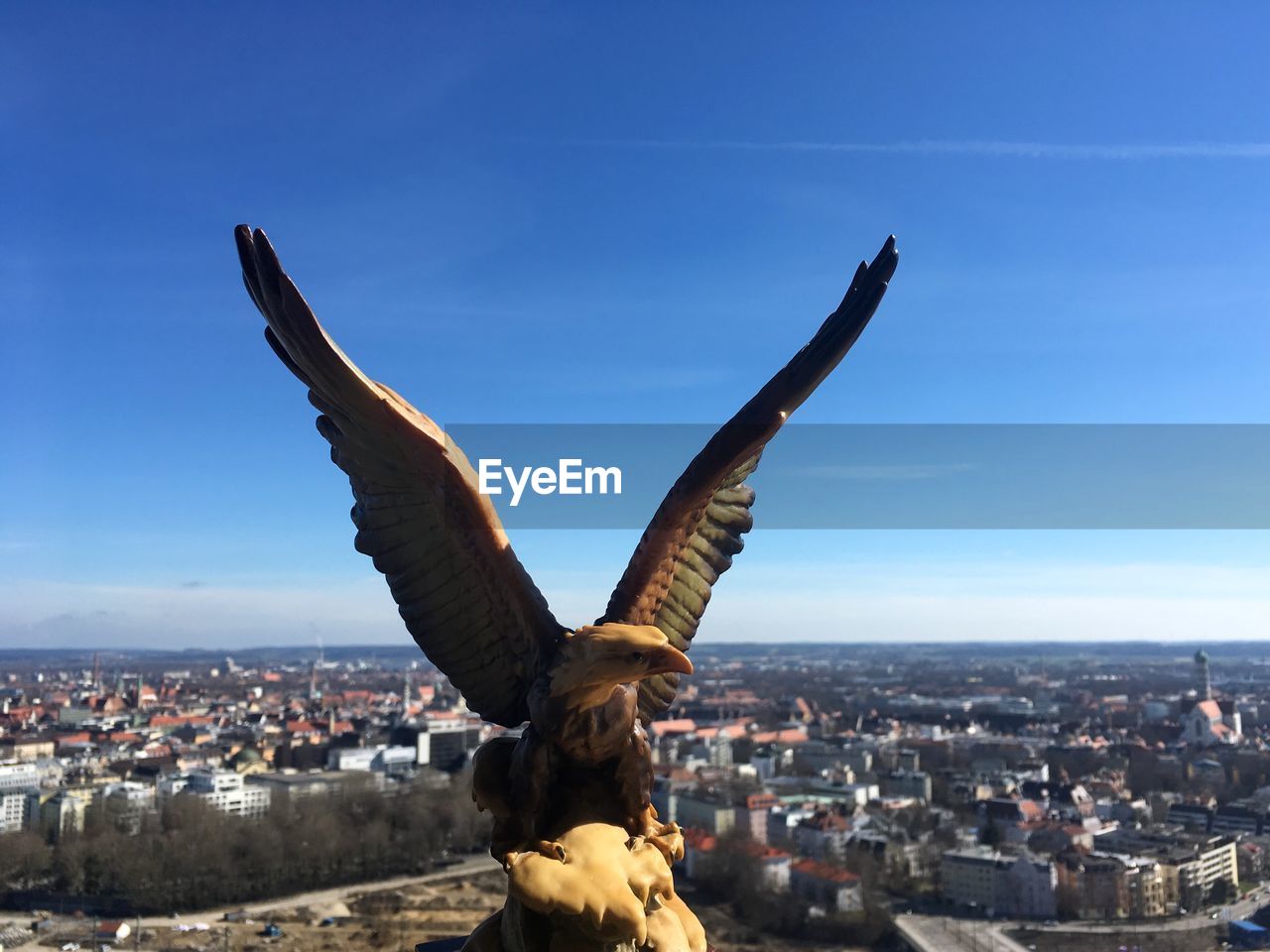 VIEW OF BIRDS FLYING AGAINST BUILDINGS