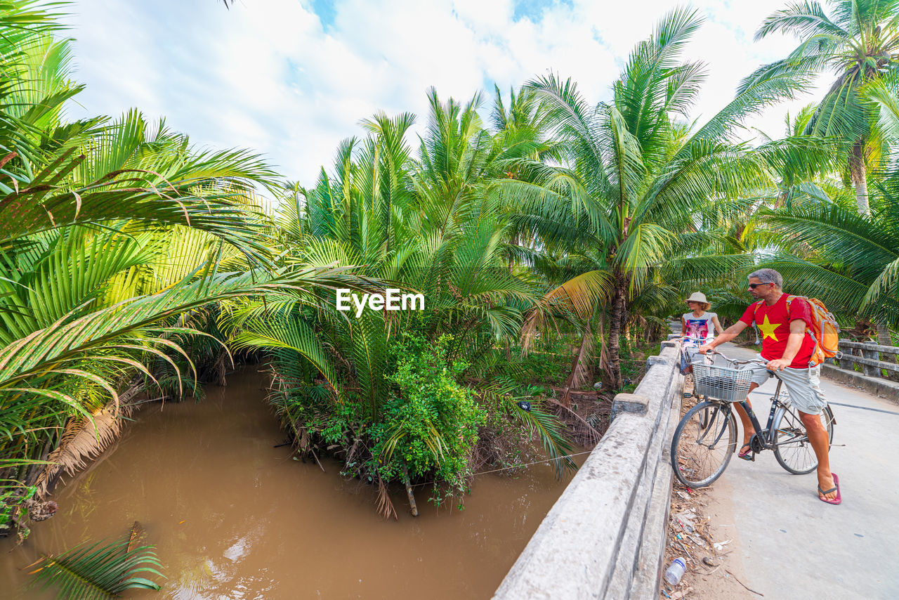 PEOPLE RIDING BICYCLE ON PALM TREES BY PLANTS