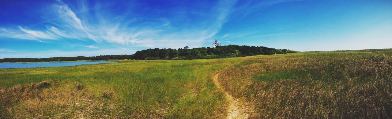 Panoramic view of cape cod national seashore