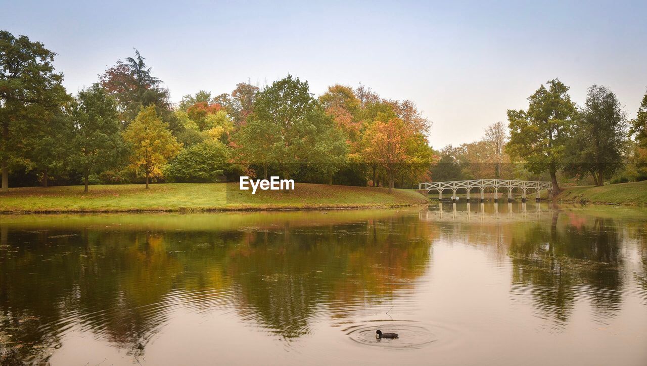 SCENIC VIEW OF LAKE AND TREES AGAINST SKY