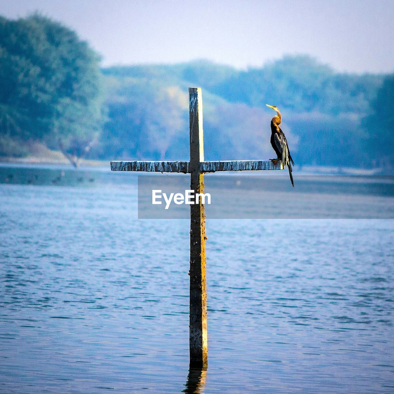 Cormorant perching on cross on river against sky