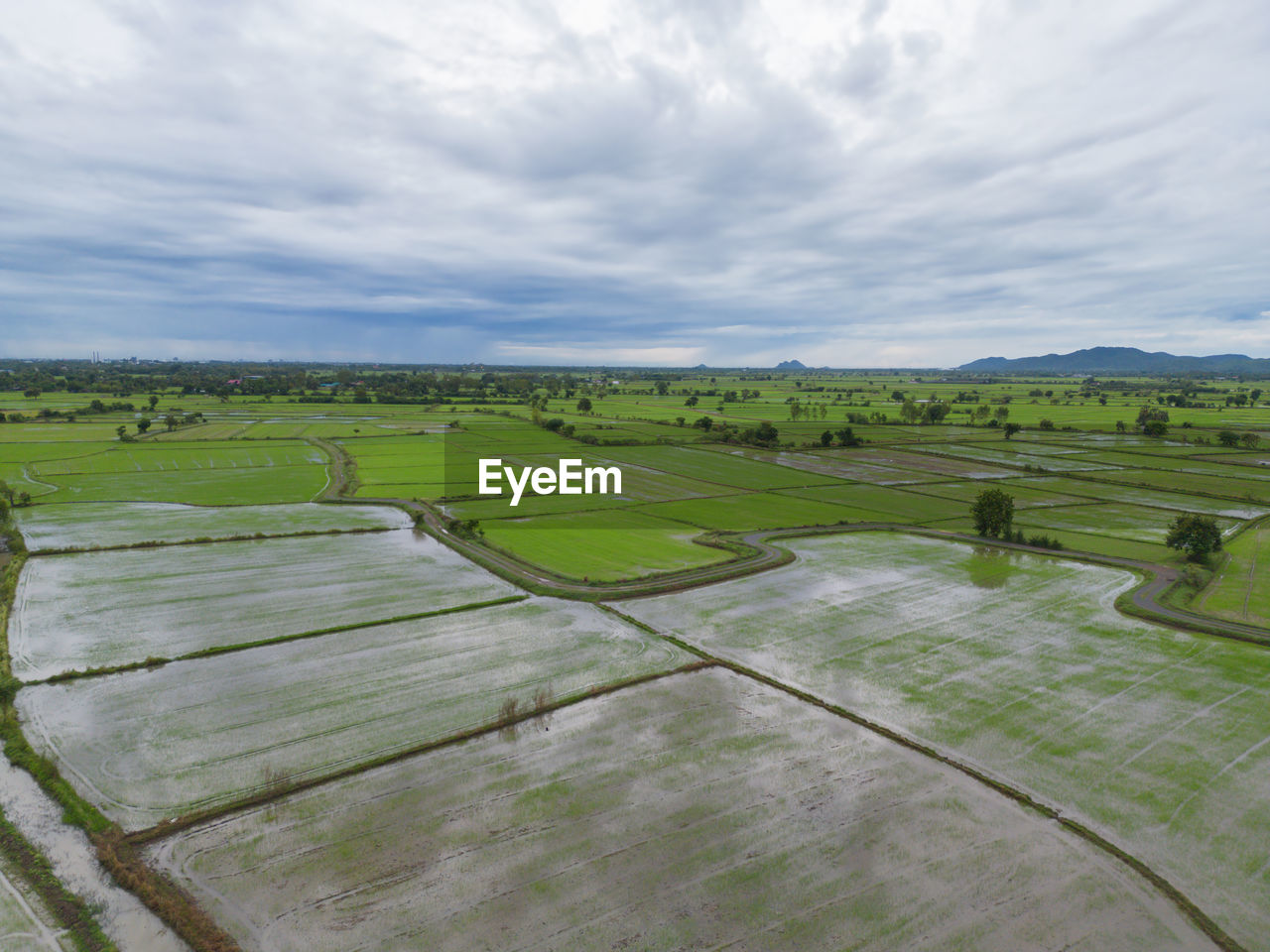 landscape, environment, agriculture, sky, rural scene, plain, field, land, scenics - nature, cloud, nature, rural area, grass, farm, plant, beauty in nature, green, tranquility, tranquil scene, no people, paddy field, day, outdoors, crop, hill, growth, grassland, soil, horizon, non-urban scene, travel, idyllic