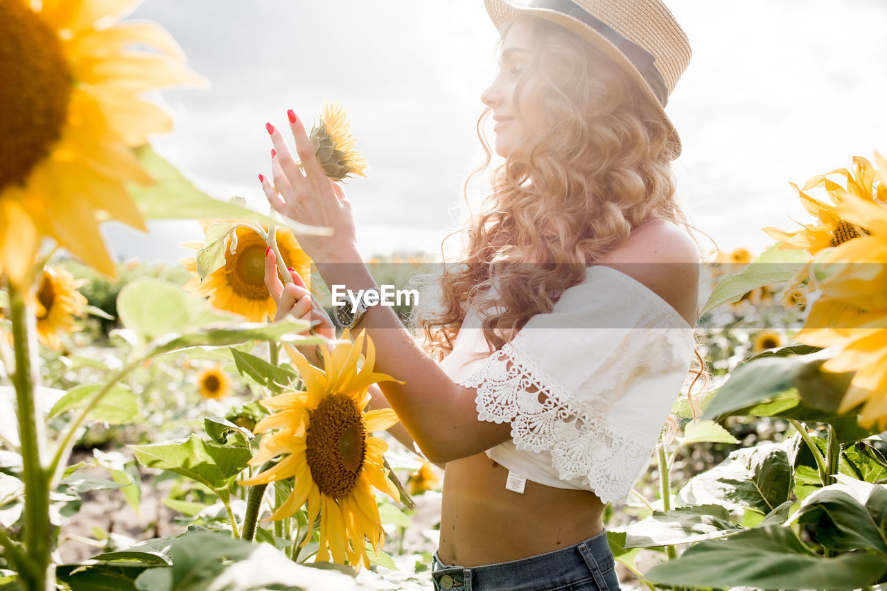 A young girl with a model appearance, in denim trousers and a white blouse in a sunflower field