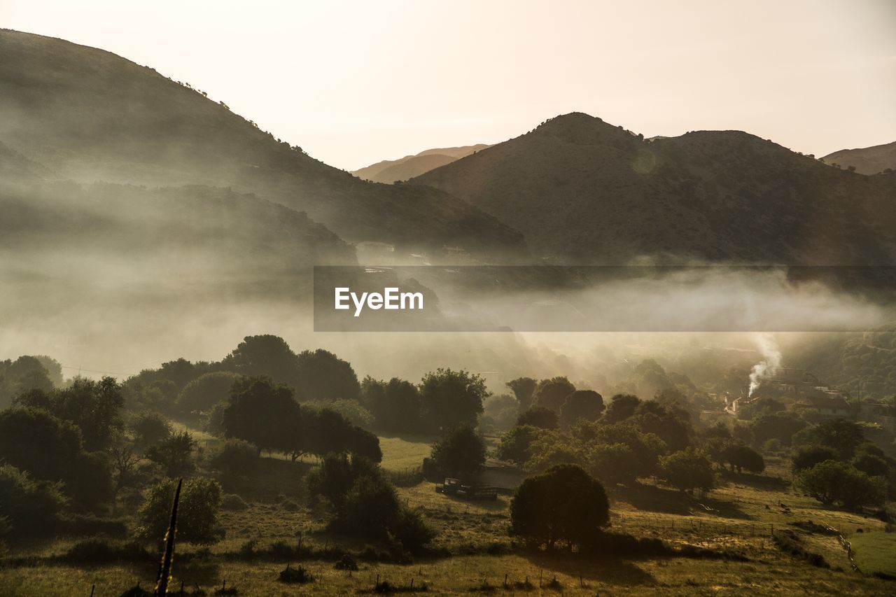 Scenic view of trees and mountains against sky