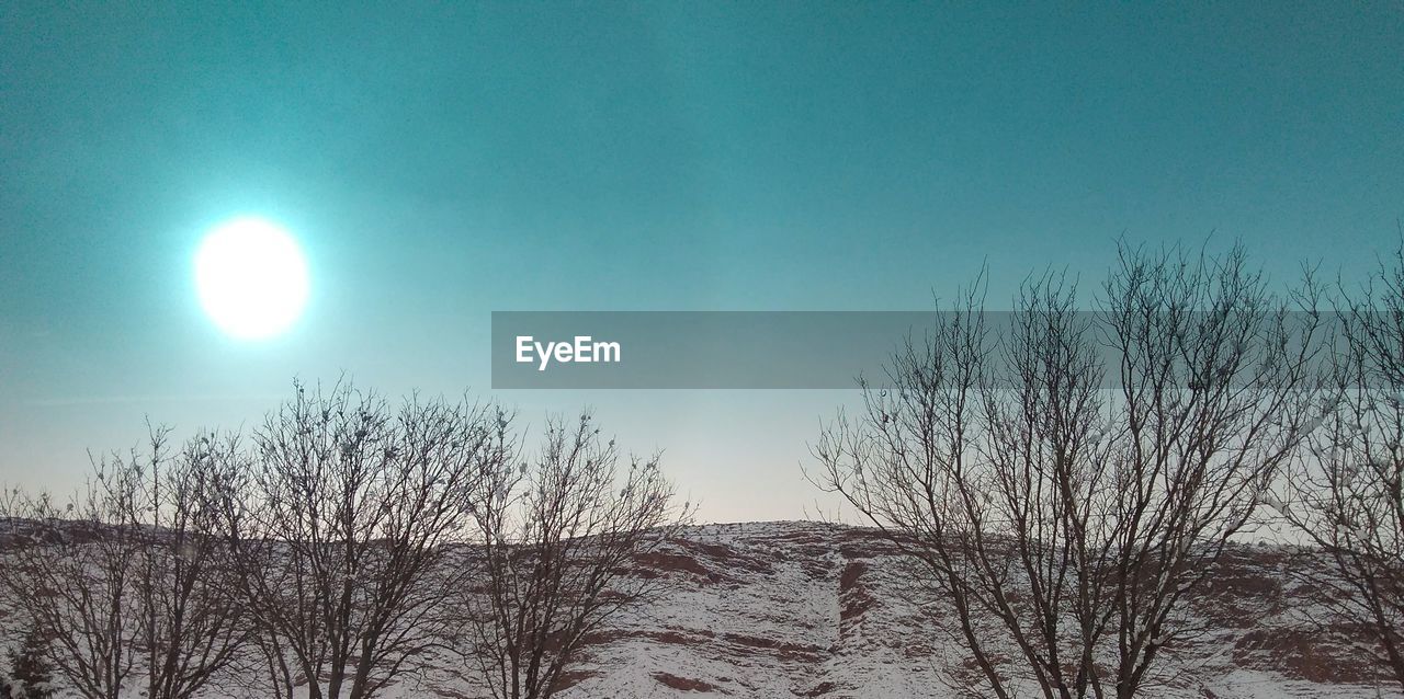 LOW ANGLE VIEW OF BARE TREE AGAINST CLEAR SKY