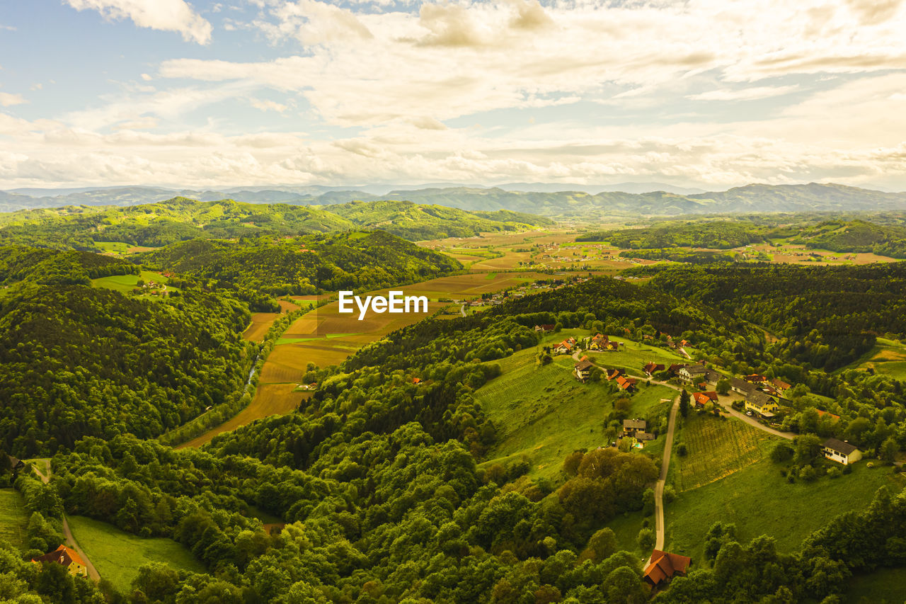 Aerial panorama of of green hills and vineyards with mountains. austria vineyards landscape.