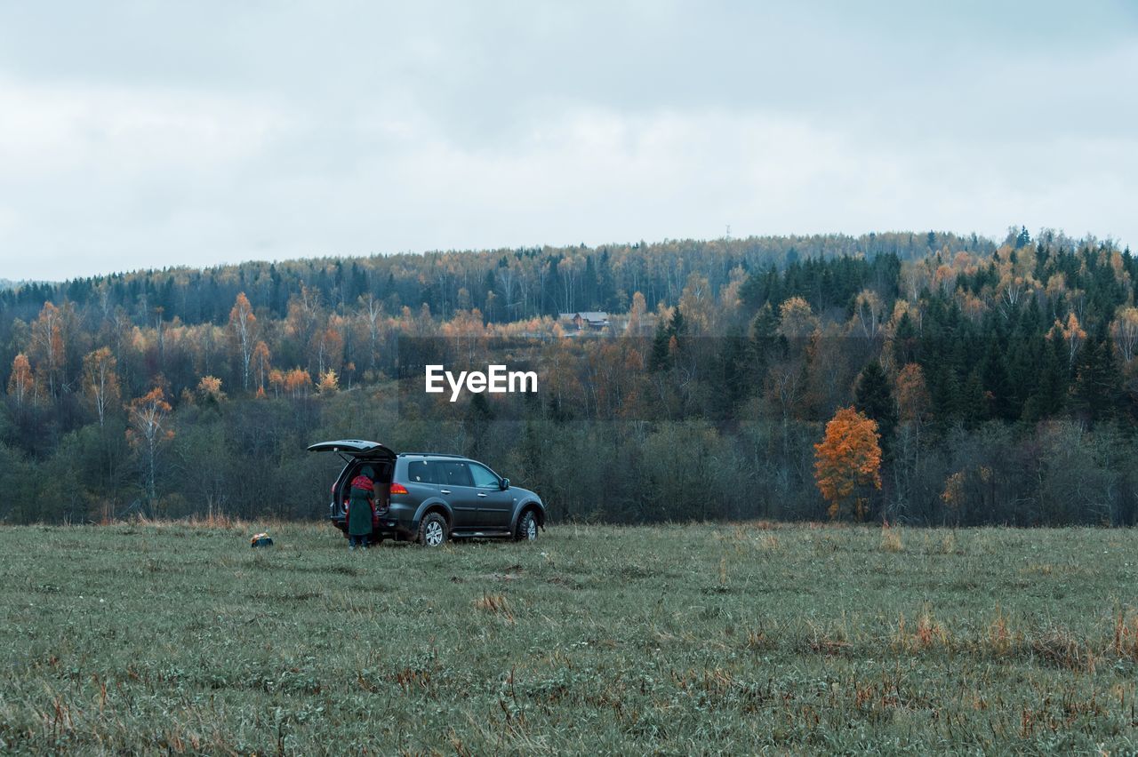 CARS ON FIELD BY TREES AGAINST SKY