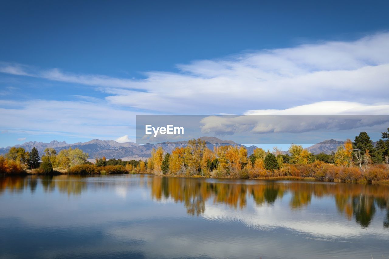 Scenic view of lake by trees against sky