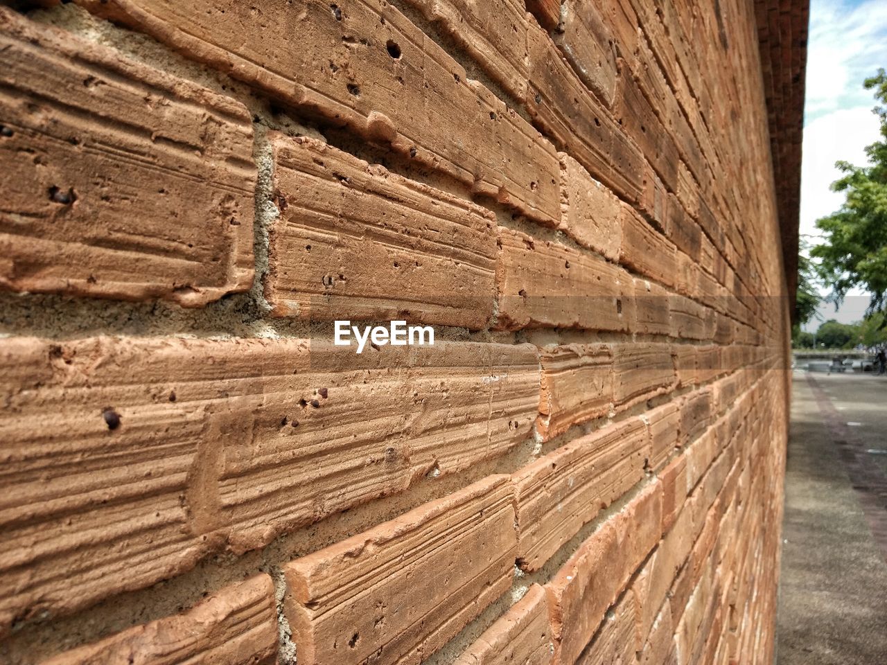 CLOSE-UP OF WOOD AGAINST TREE