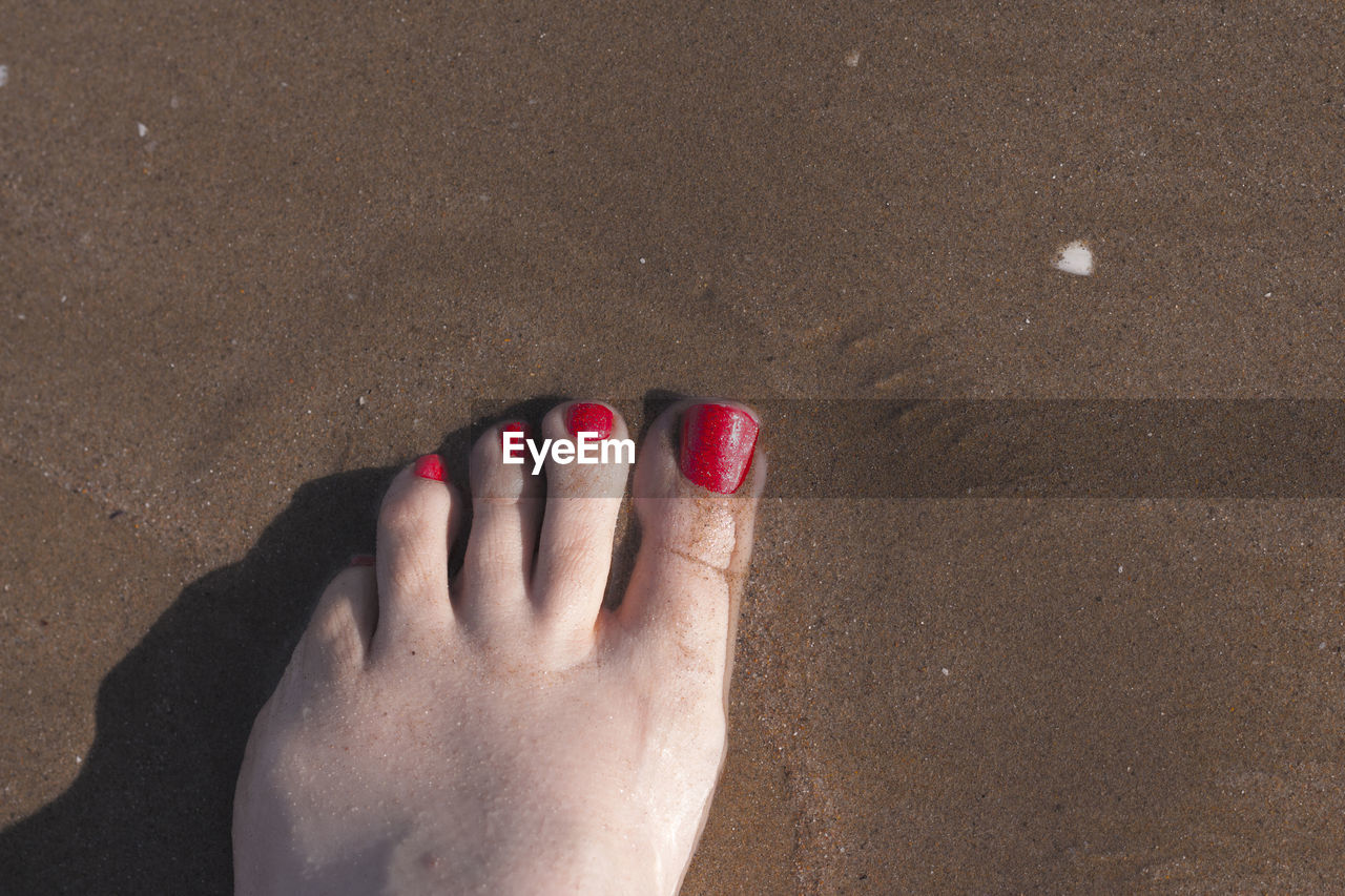 LOW SECTION OF WOMAN FEET ON SAND AT BEACH