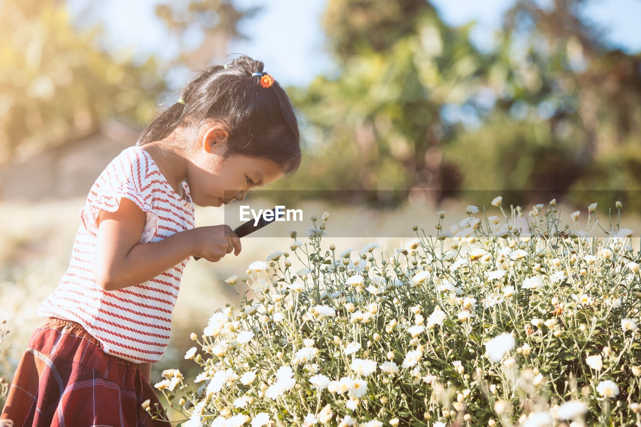 Side view of girl looking at flowers with magnifying glass in park