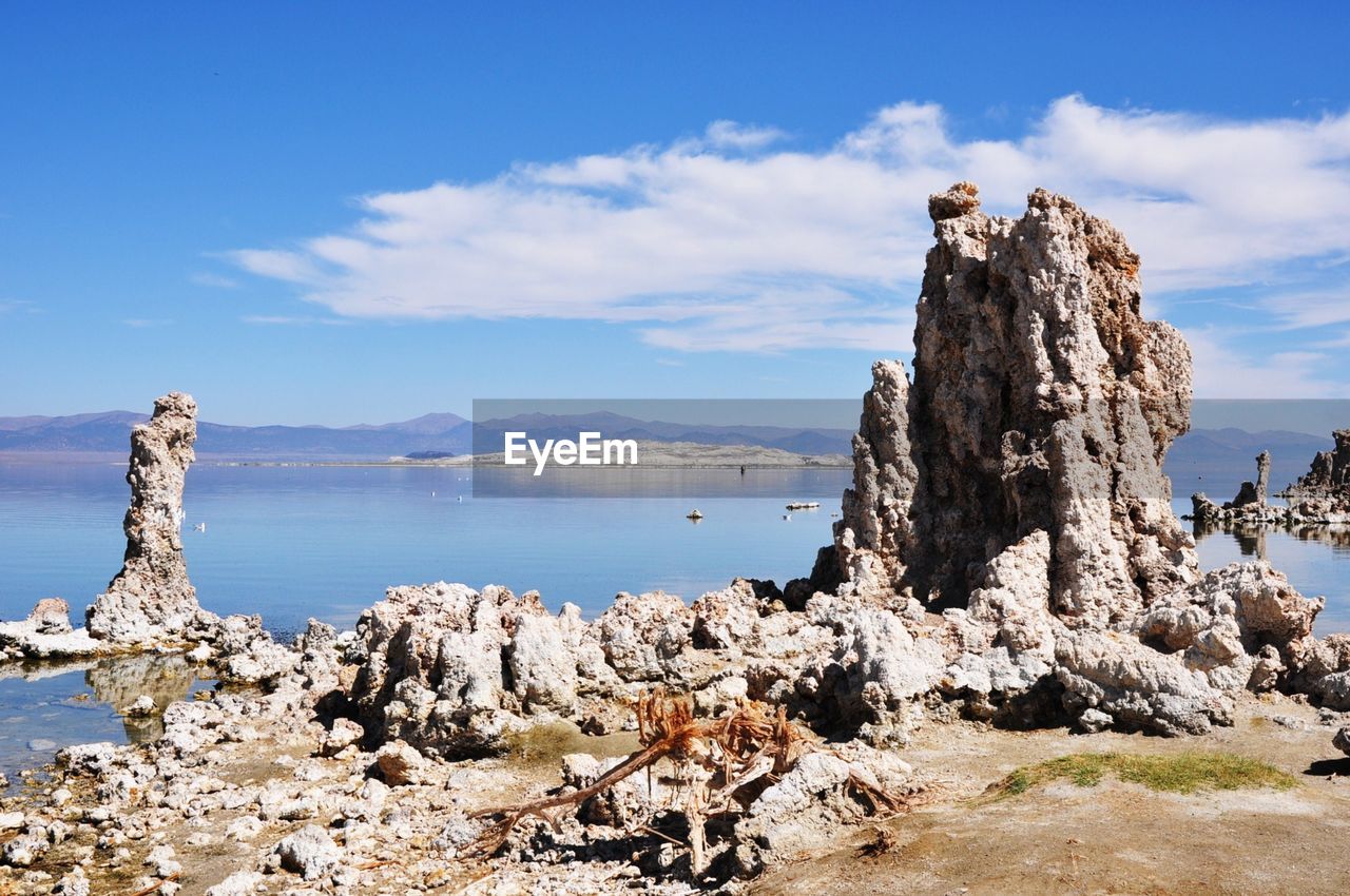 VIEW OF BIRDS PERCHING ON ROCK BY SEA