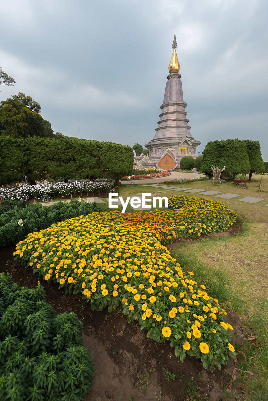 VIEW OF YELLOW FLOWERING PLANTS AGAINST BUILDING