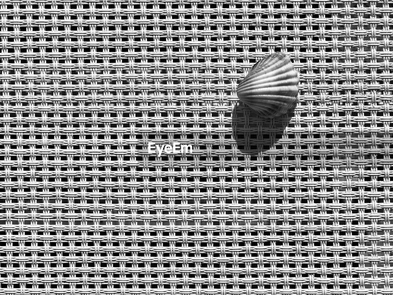 HIGH ANGLE VIEW OF INSECT ON BRICK WALL