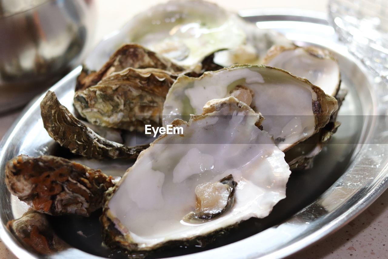 food and drink, food, oyster, animal, freshness, healthy eating, seafood, plate, close-up, wellbeing, no people, indoors, dish, meal, shellfish, table, gourmet, mussel, shell, household equipment