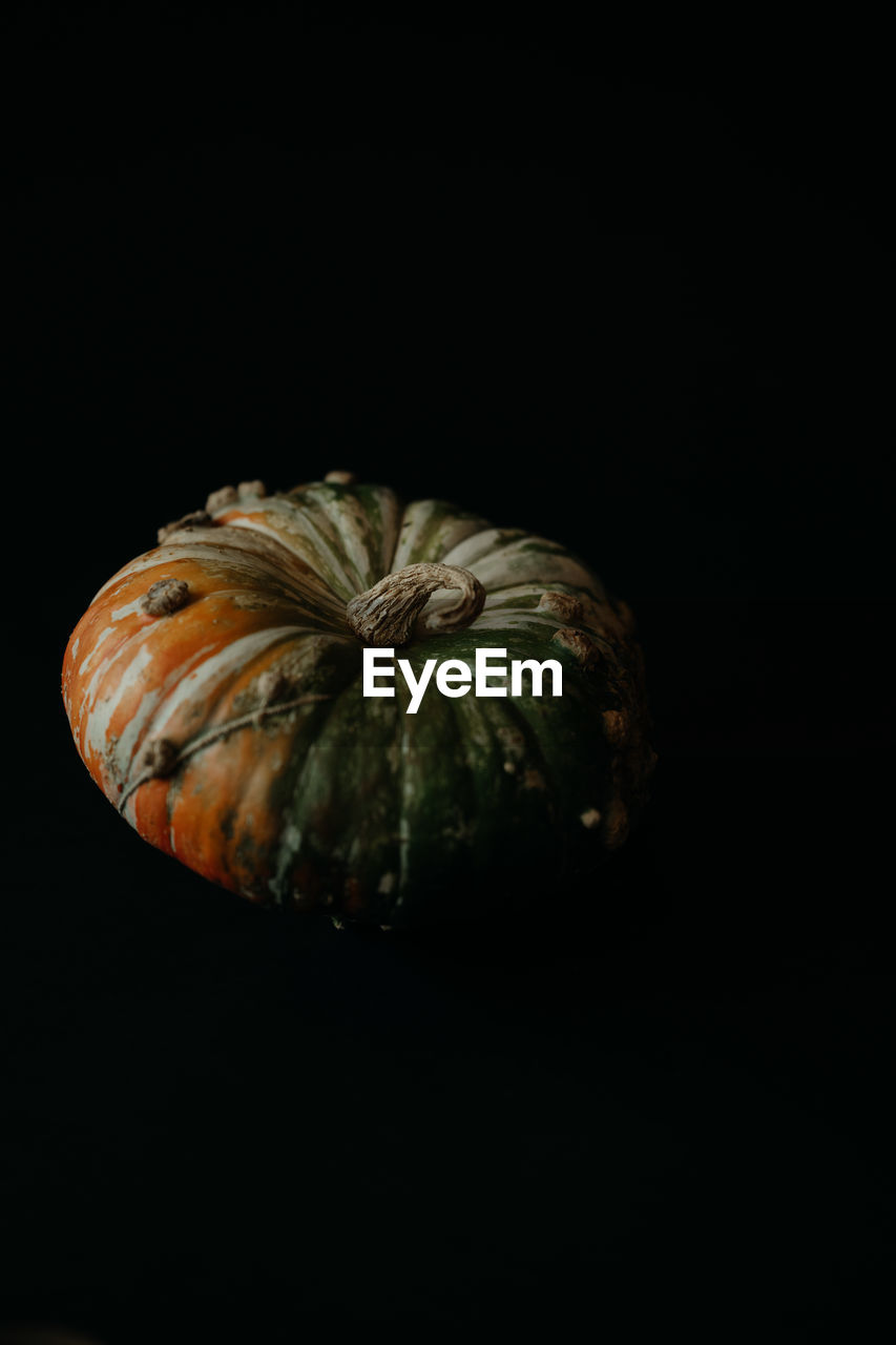 HIGH ANGLE VIEW OF PUMPKIN ON BLACK BACKGROUND