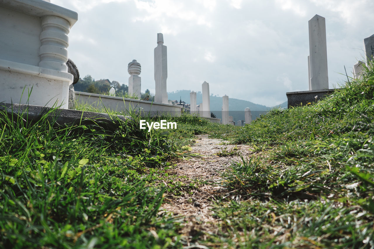 GRASS GROWING BY BUILT STRUCTURE