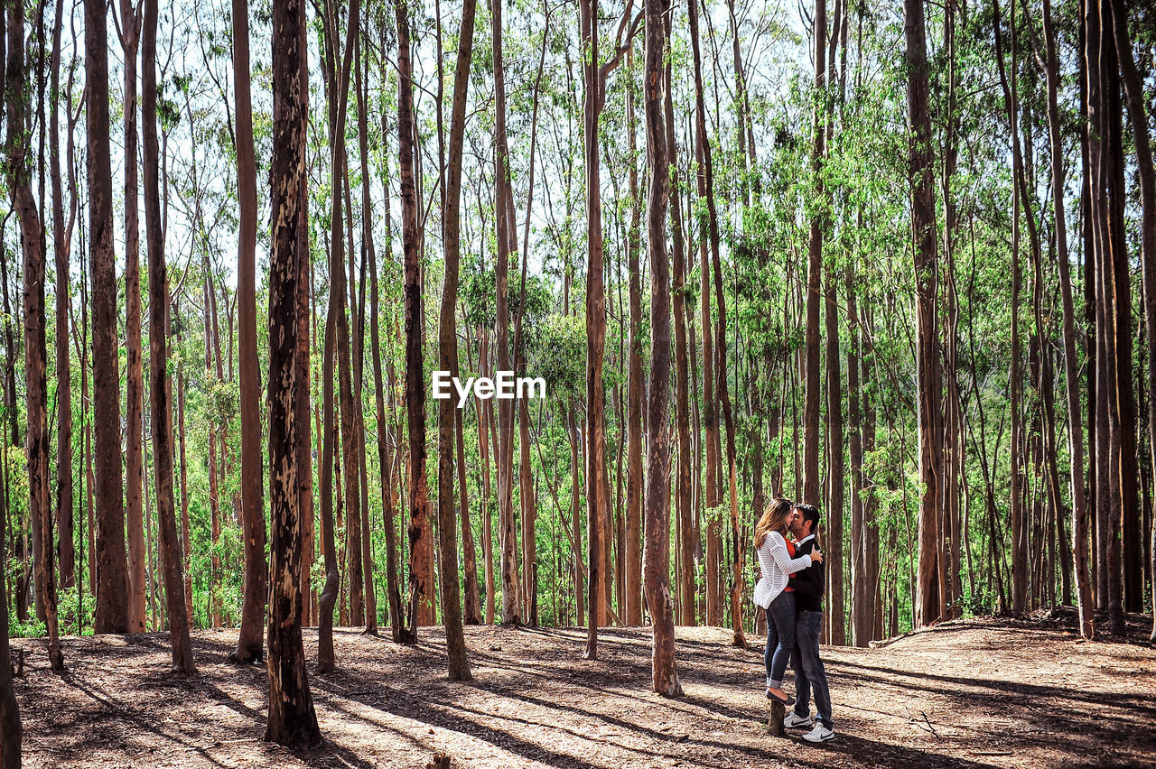 Full length of couple kissing against trees at forest