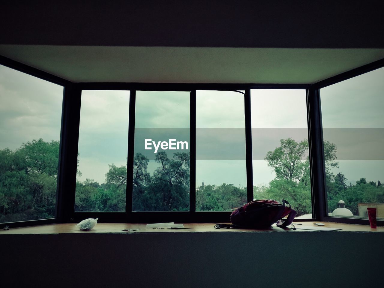 Trees against cloudy sky seen through window