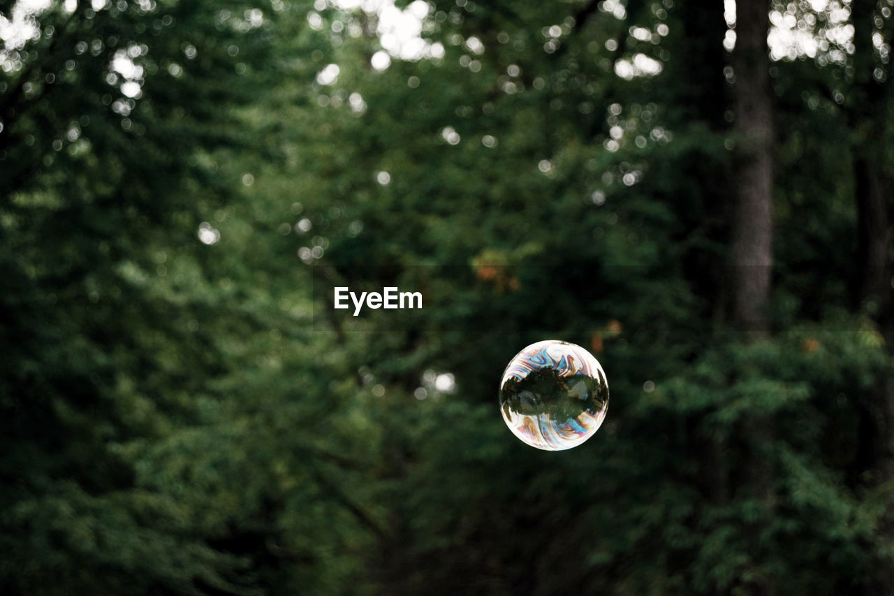 Bubble in mid-air against trees