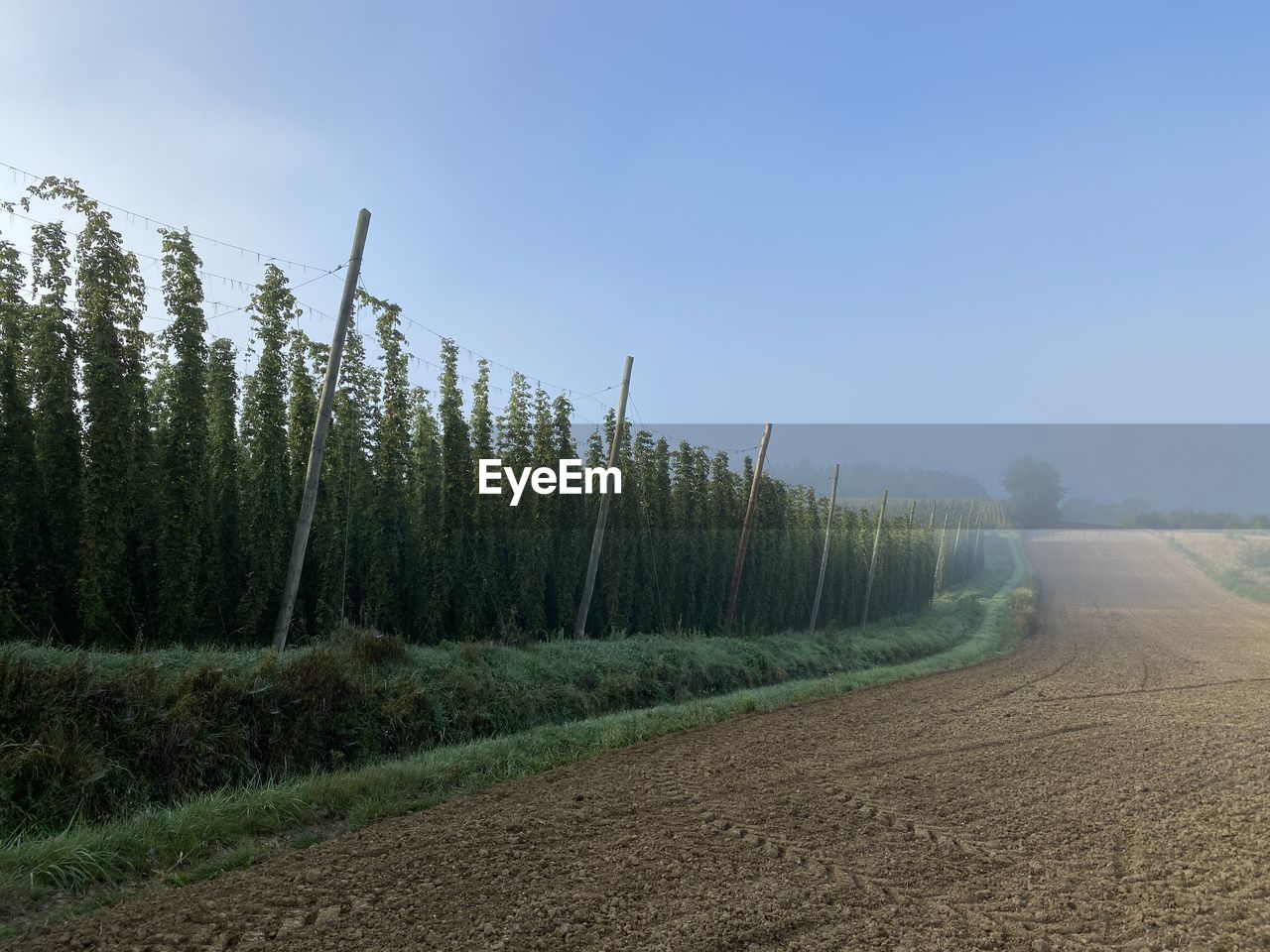 SCENIC VIEW OF LAND AGAINST SKY