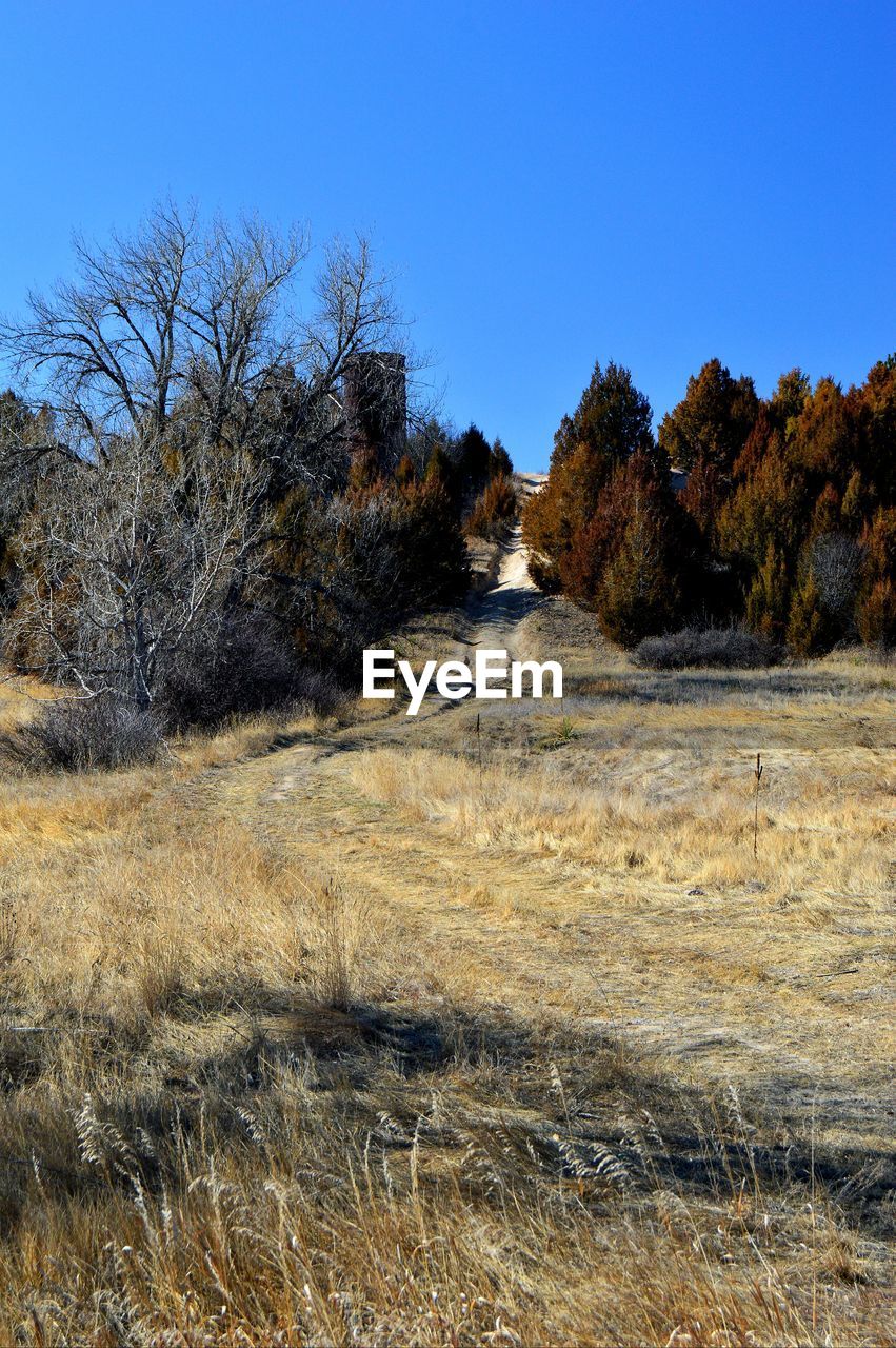 Trail road up to top Rural Winter Warm Temperature Road Day Outdoors Sun Outside Of Town Shadow