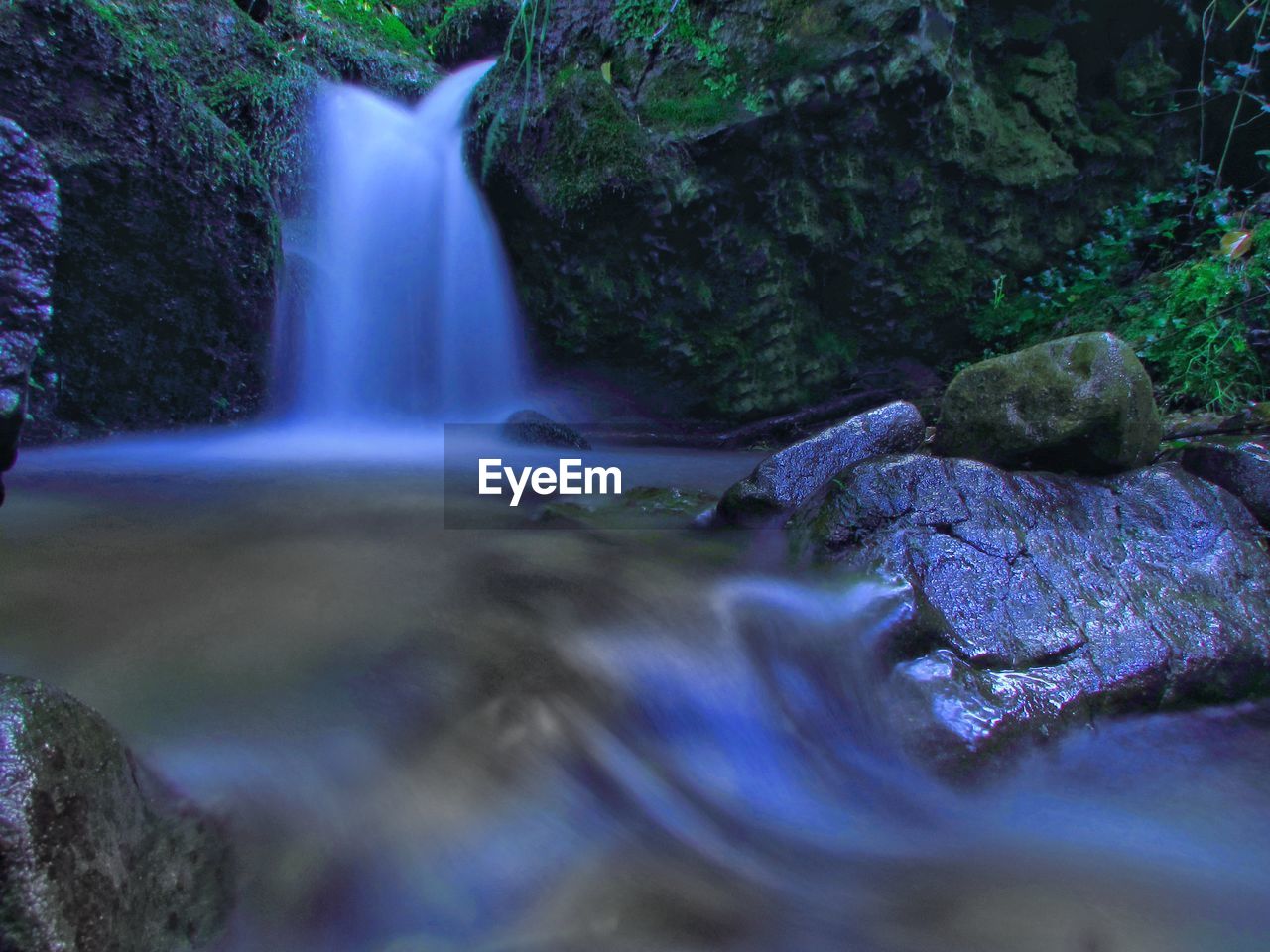 Scenic view of waterfall in forest