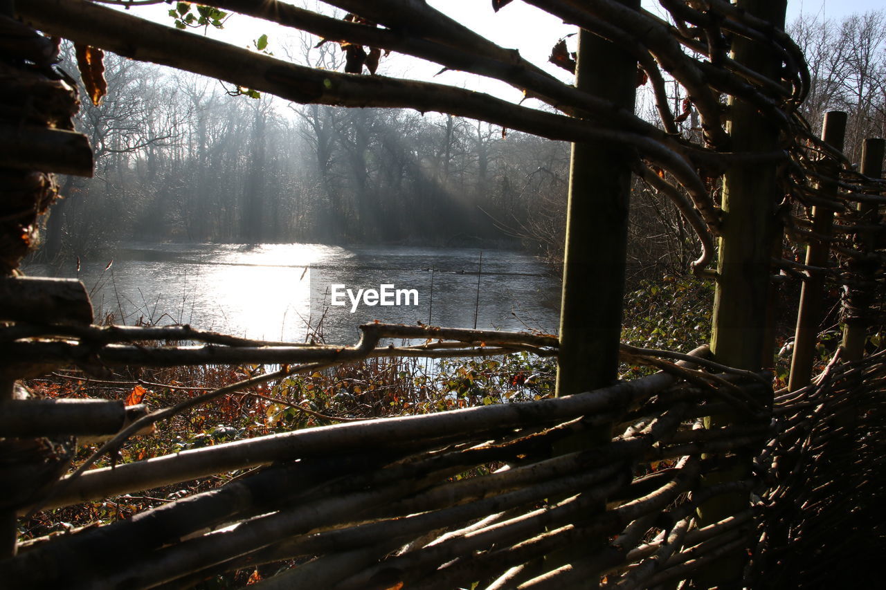 CLOSE-UP OF RIVER AGAINST TREES