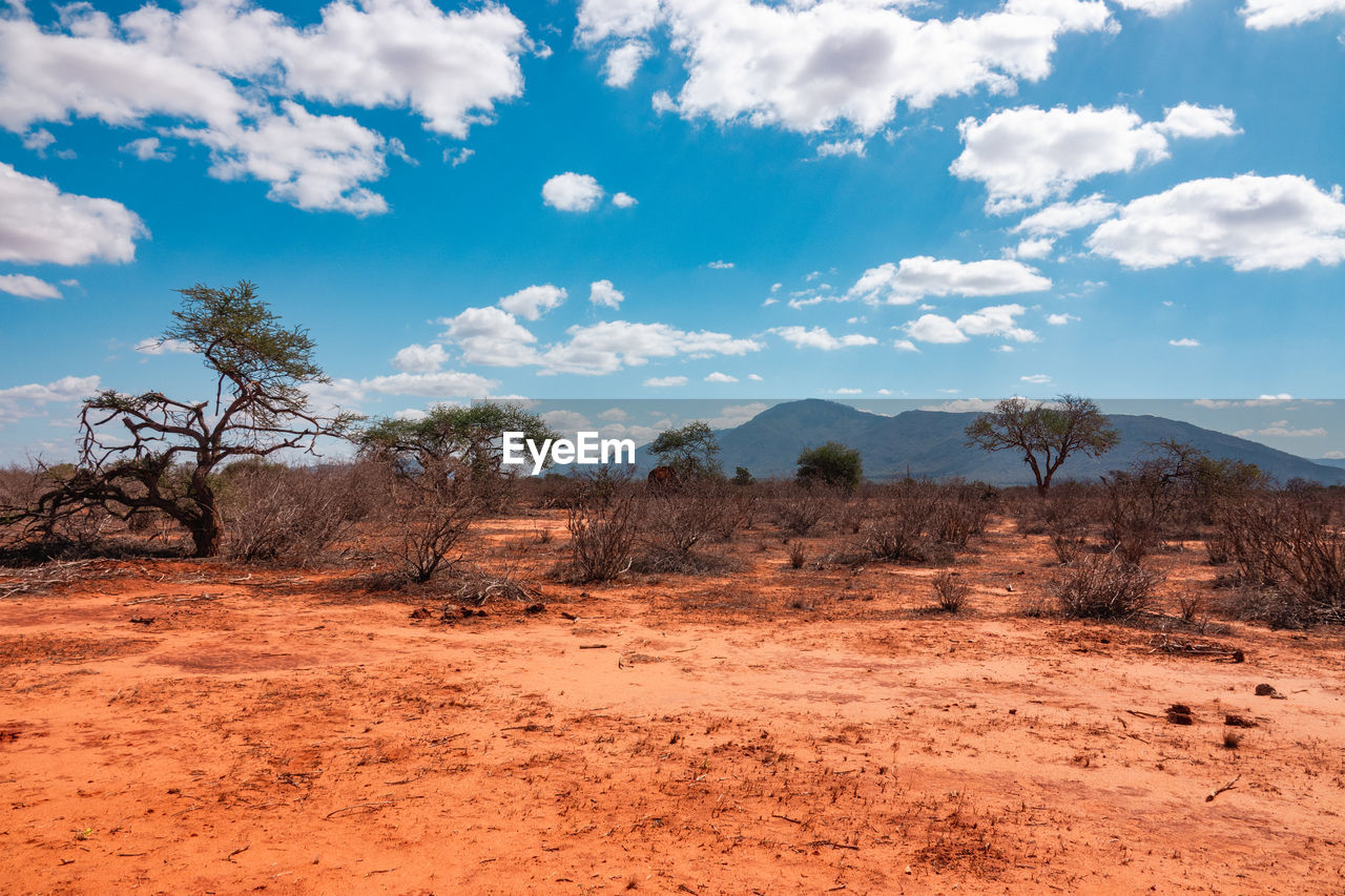 Scenic view of arid landscapes in tsavo national park in kenya