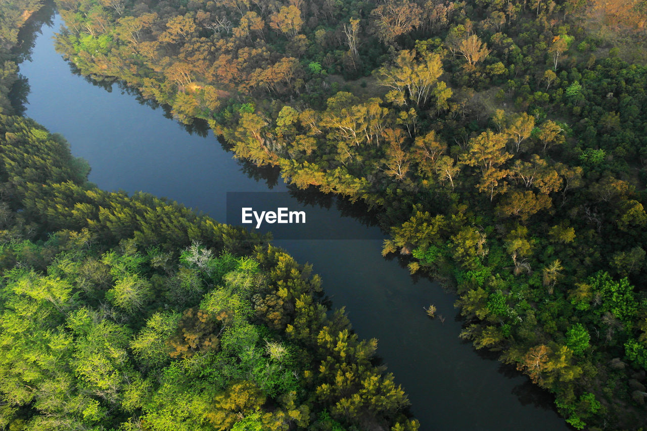 High angle view of lake amidst trees during autumn