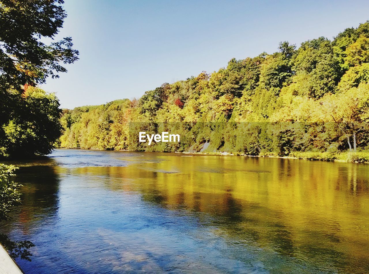 View of river and trees against sky