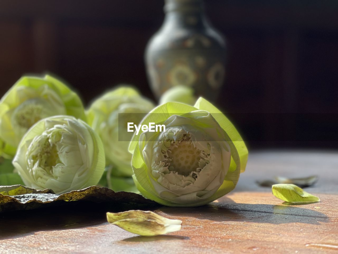 Close-up of lotus on table