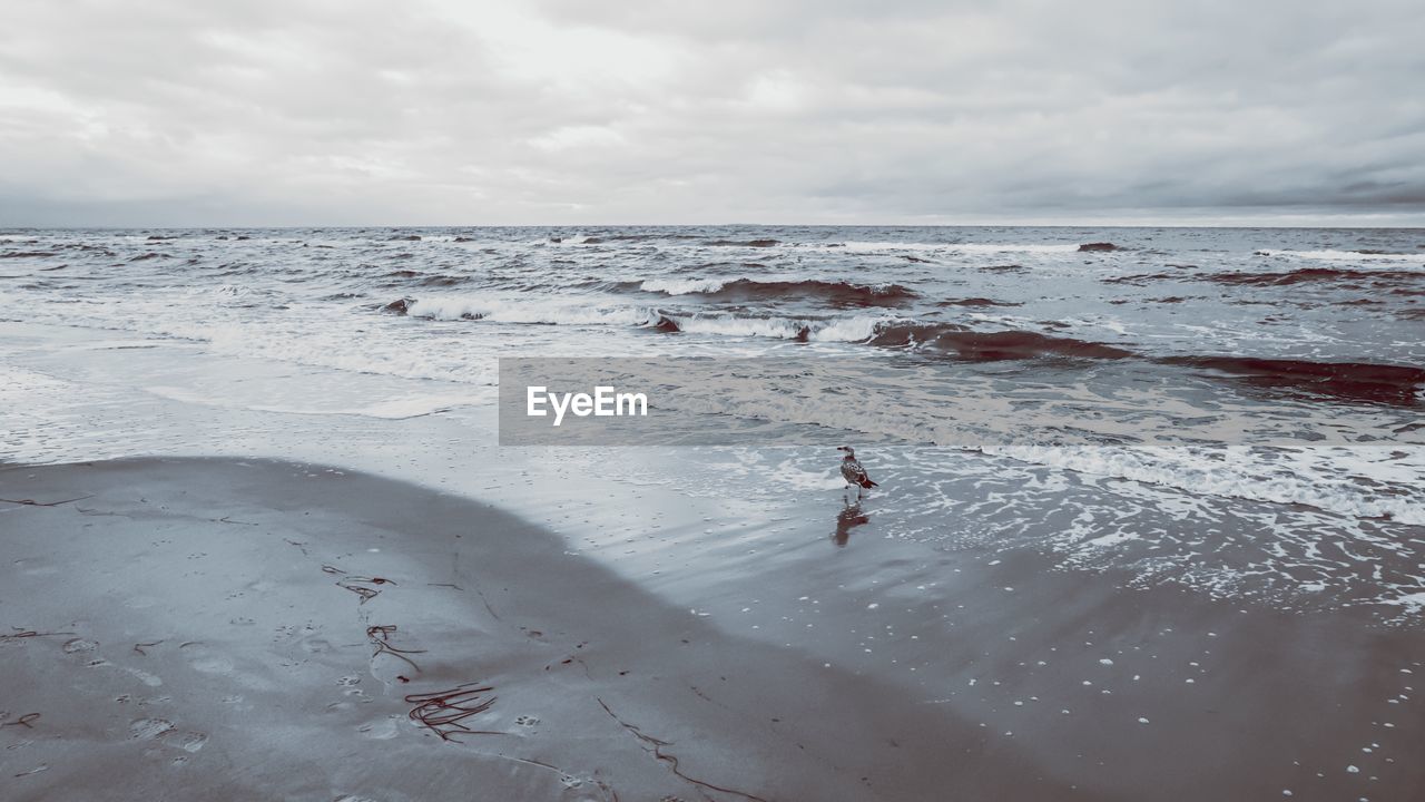 PERSON ON BEACH AGAINST SKY