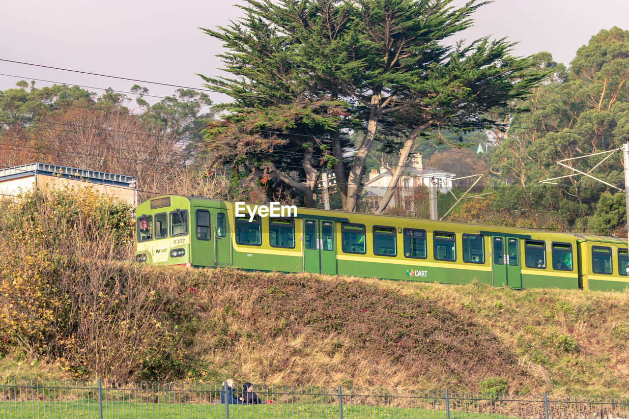 plant, tree, train, transport, nature, mode of transportation, transportation, vehicle, architecture, rolling stock, day, built structure, rail transportation, green, public transportation, growth, no people, outdoors, grass, railway, building exterior, land vehicle, land, field, residential area, travel, sky