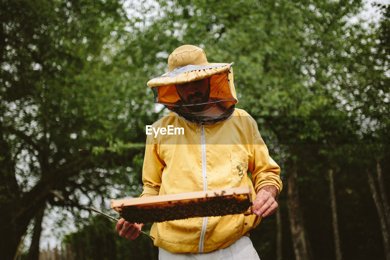 Beekeeper working over beehive at farm