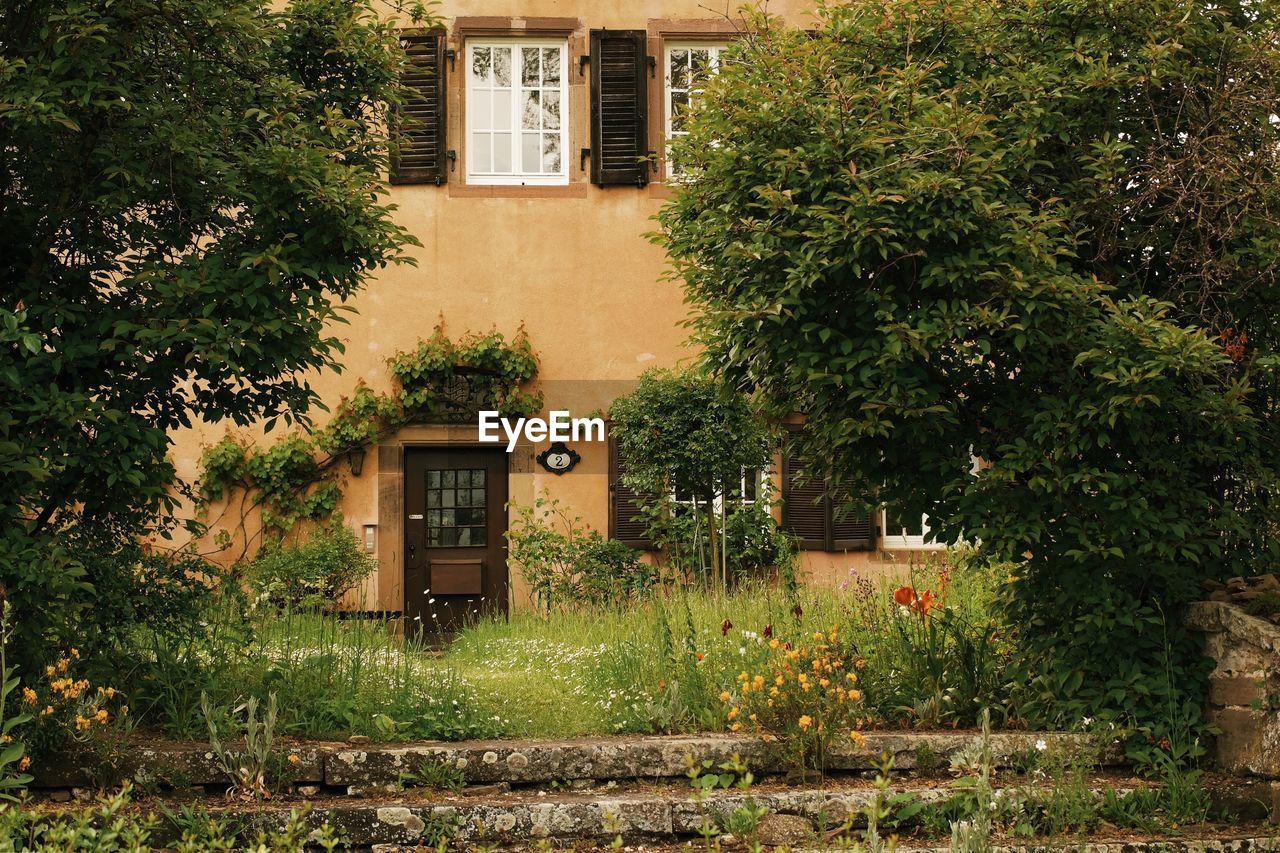 View of house with trees in background