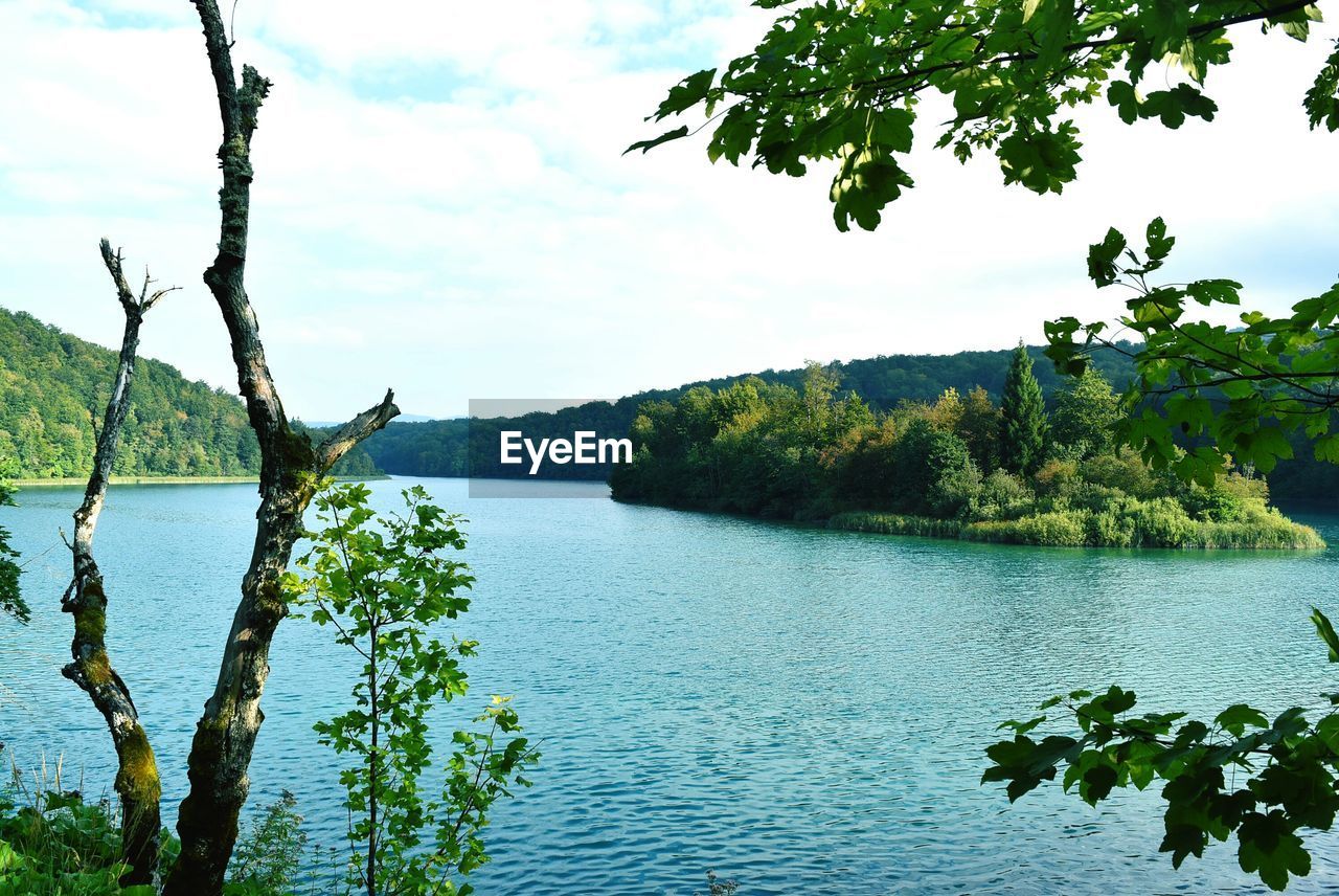 SCENIC VIEW OF LAKE BY TREE AGAINST SKY