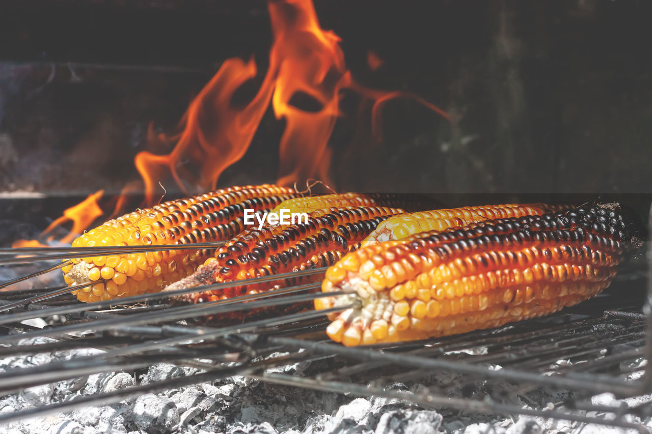 Ripe golden corncob on the grill with smoke and flame on ash background. 