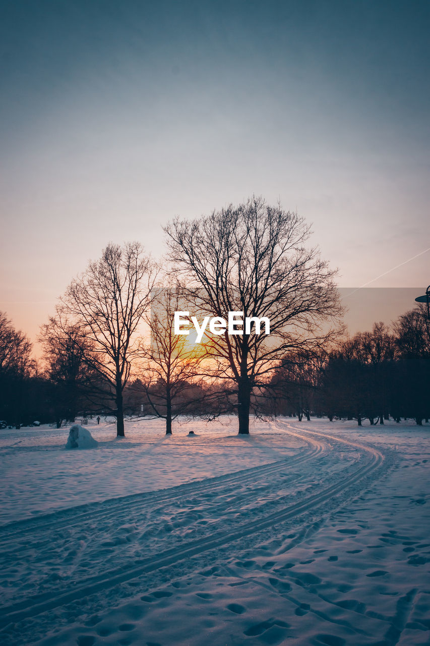 BARE TREES ON SNOW COVERED FIELD AGAINST SKY