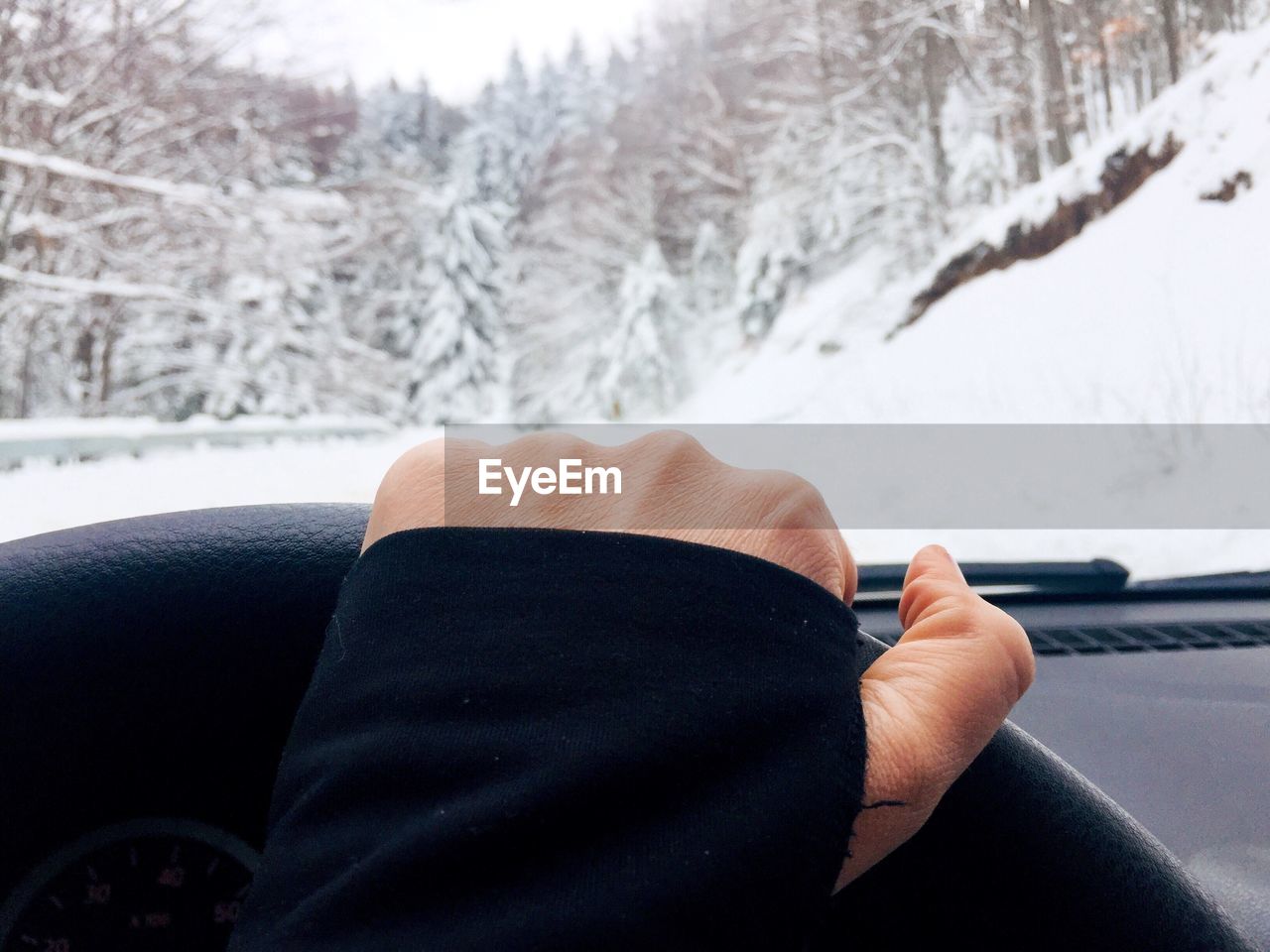 Cropped hand driving car against bare trees during winter