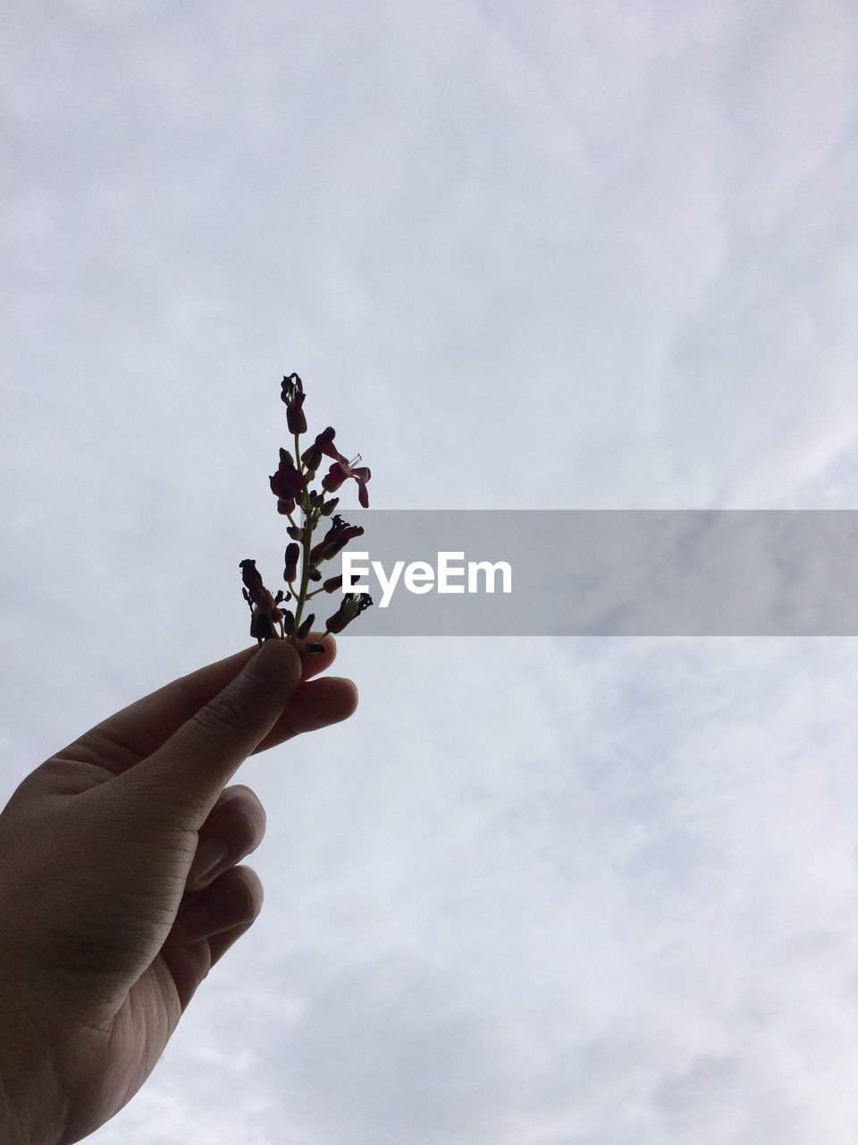 LOW ANGLE VIEW OF PERSON HAND HOLDING SKY